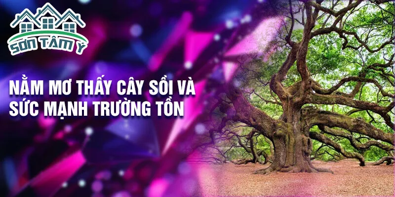 Nằm mơ thấy cây sồi và sức mạnh trường tồn
