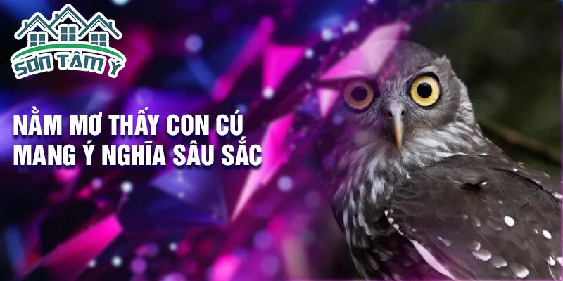 Nằm mơ thấy con cú mang ý nghĩa sâu sắc