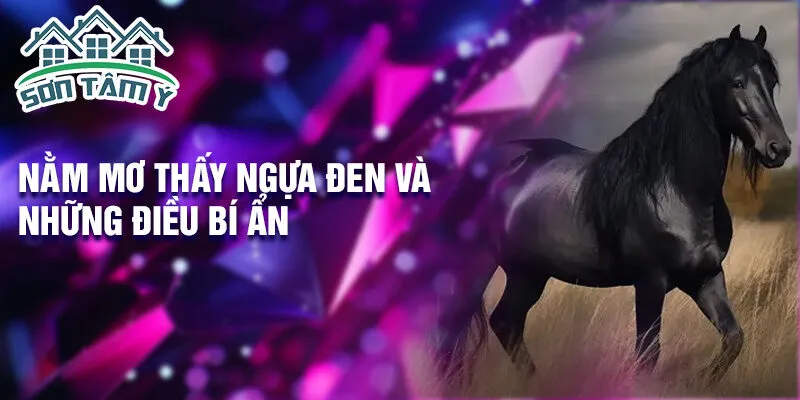 Nằm mơ thấy ngựa đen và những điều bí ẩn