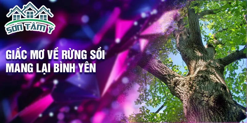 Giấc mơ về rừng sồi mang lại bình yên