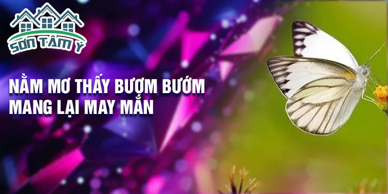 Nằm mơ thấy bươm bướm mang lại may mắn