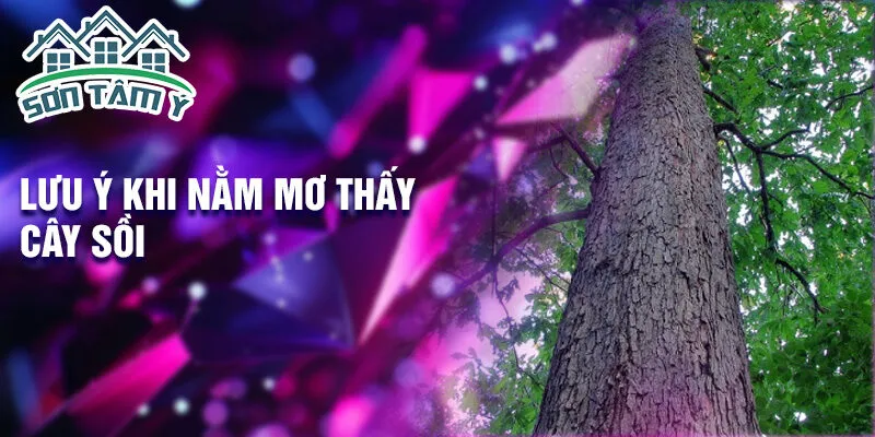 Lưu ý khi nằm mơ thấy cây sồi
