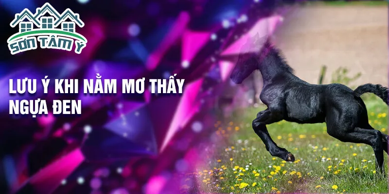 Lưu ý khi nằm mơ thấy ngựa đen
