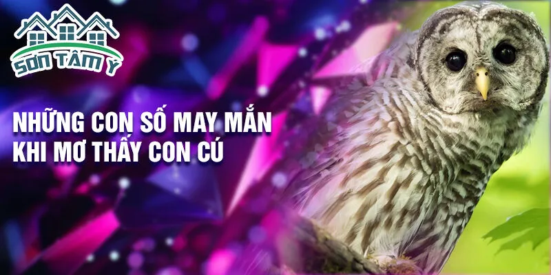 Những con số may mắn khi mơ thấy con cú