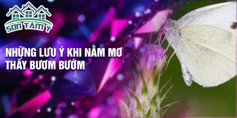 Những lưu ý khi nằm mơ thấy bươm bướm